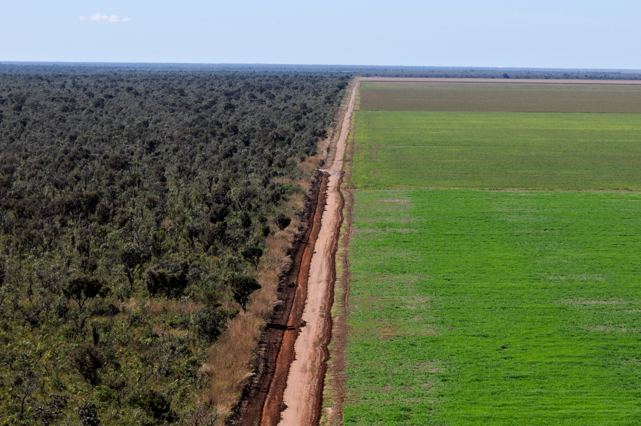 Soy and Agribusiness Expansion in Northwest  - La Soja Mata