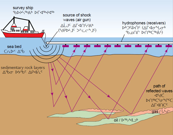 Ej Atlas