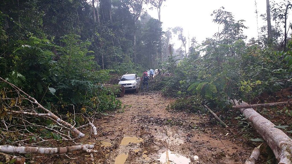 Colniza, Mato Grosso (Brazil)