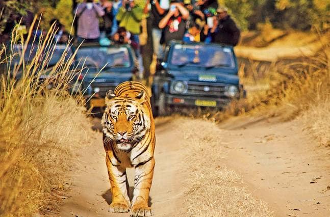 Panna National park – Information, Attractions