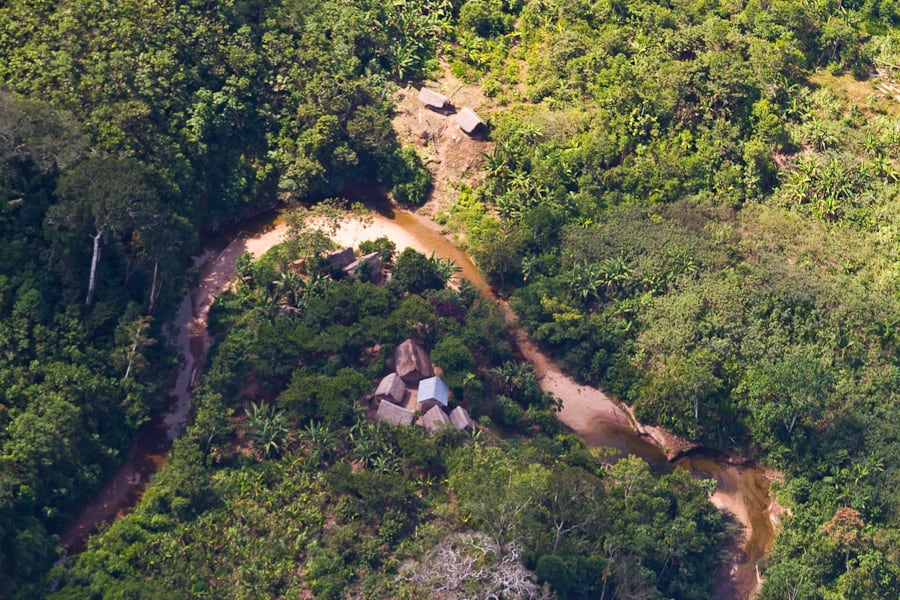 Amazônia Peruana Rattle Direções - Meio - Individualmente