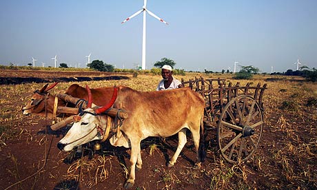 Maharashtra: Dhule farmer dead, more crops damaged in North Maharashtra  districts | Nashik News - Times of India