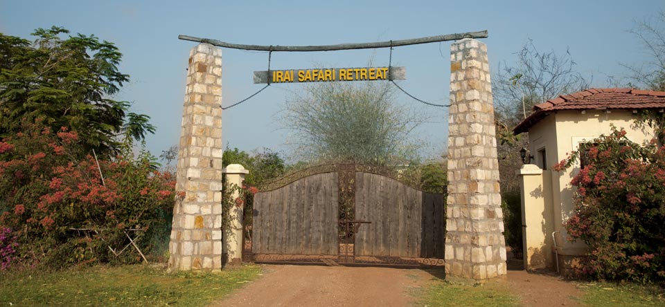 Tadoba Andhari Tiger Reserve Maharashtra - Wild Nest