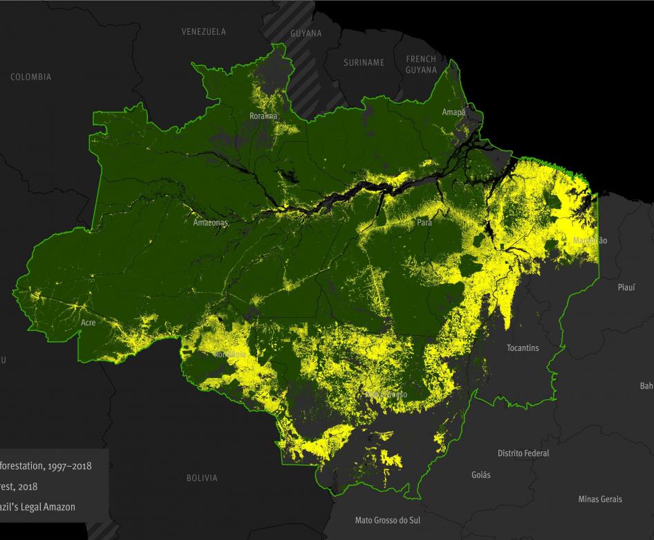 Rainforest Mafias: How Violence and Impunity Fuel Deforestation in Brazil's