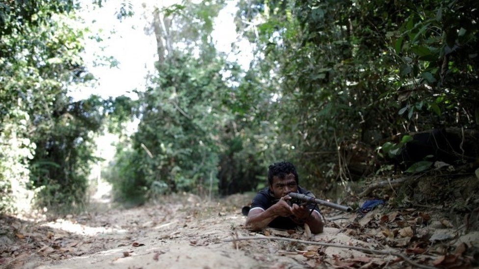 Rainforest Mafias: How Violence and Impunity Fuel Deforestation in