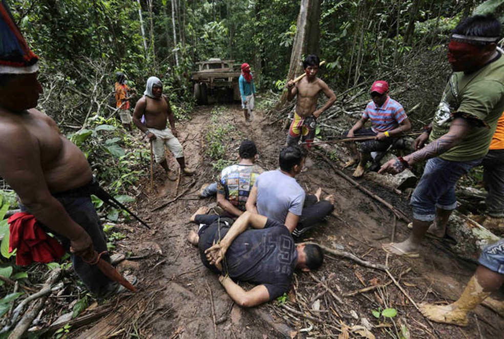 Rainforest Mafias: How Violence and Impunity Fuel Deforestation in